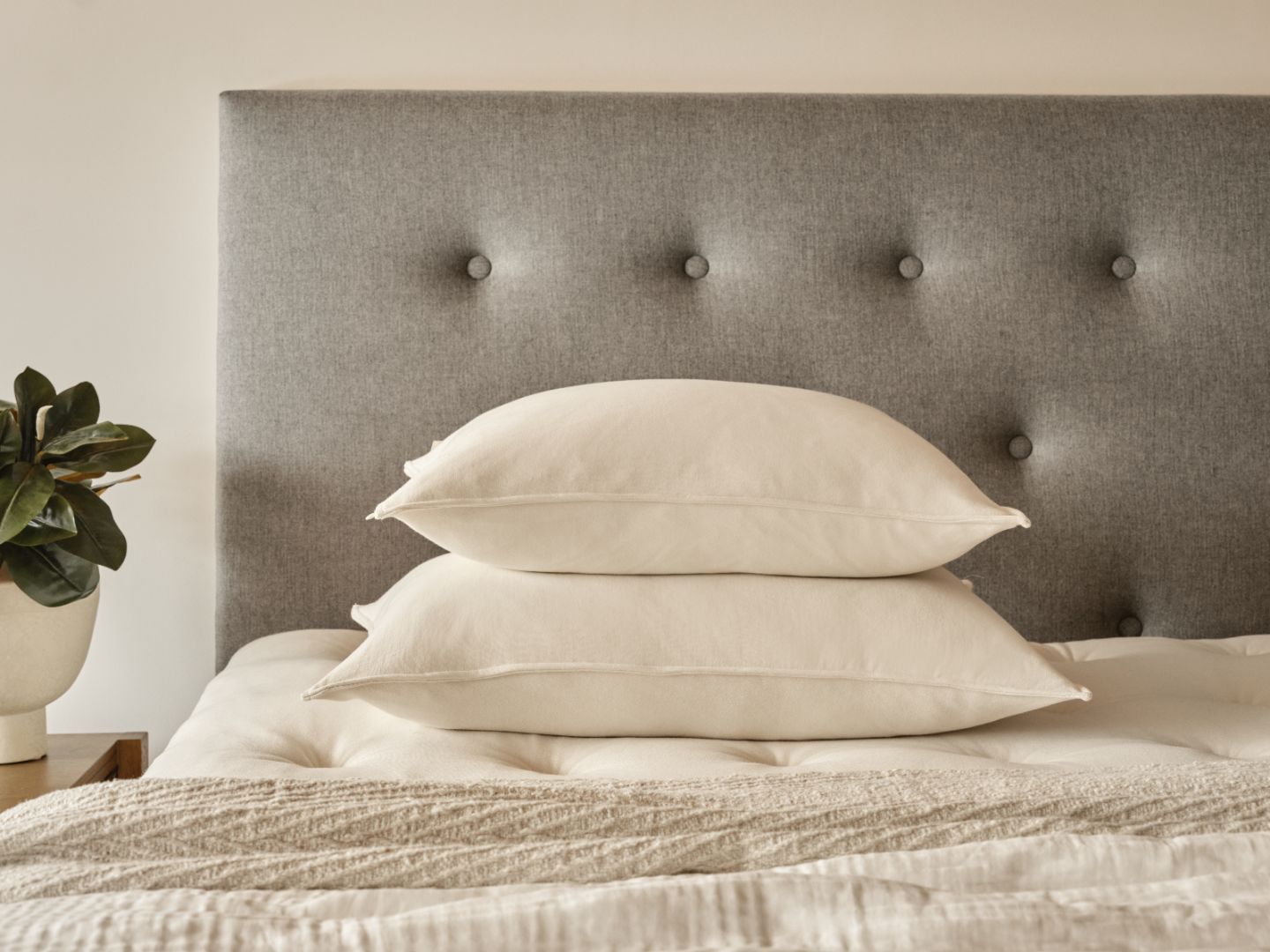 Organic Pillows