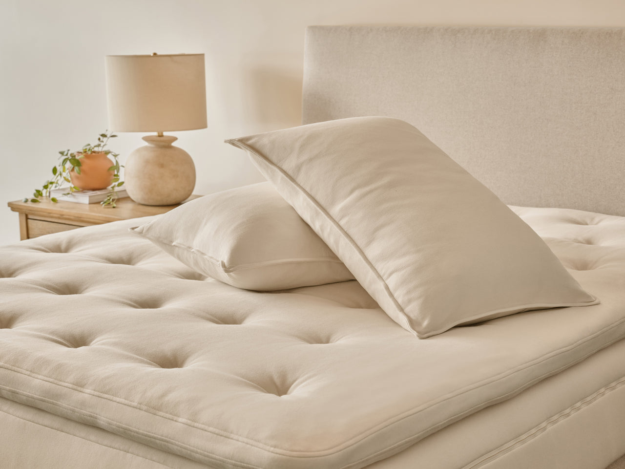 Oreiller classique en latex biologique