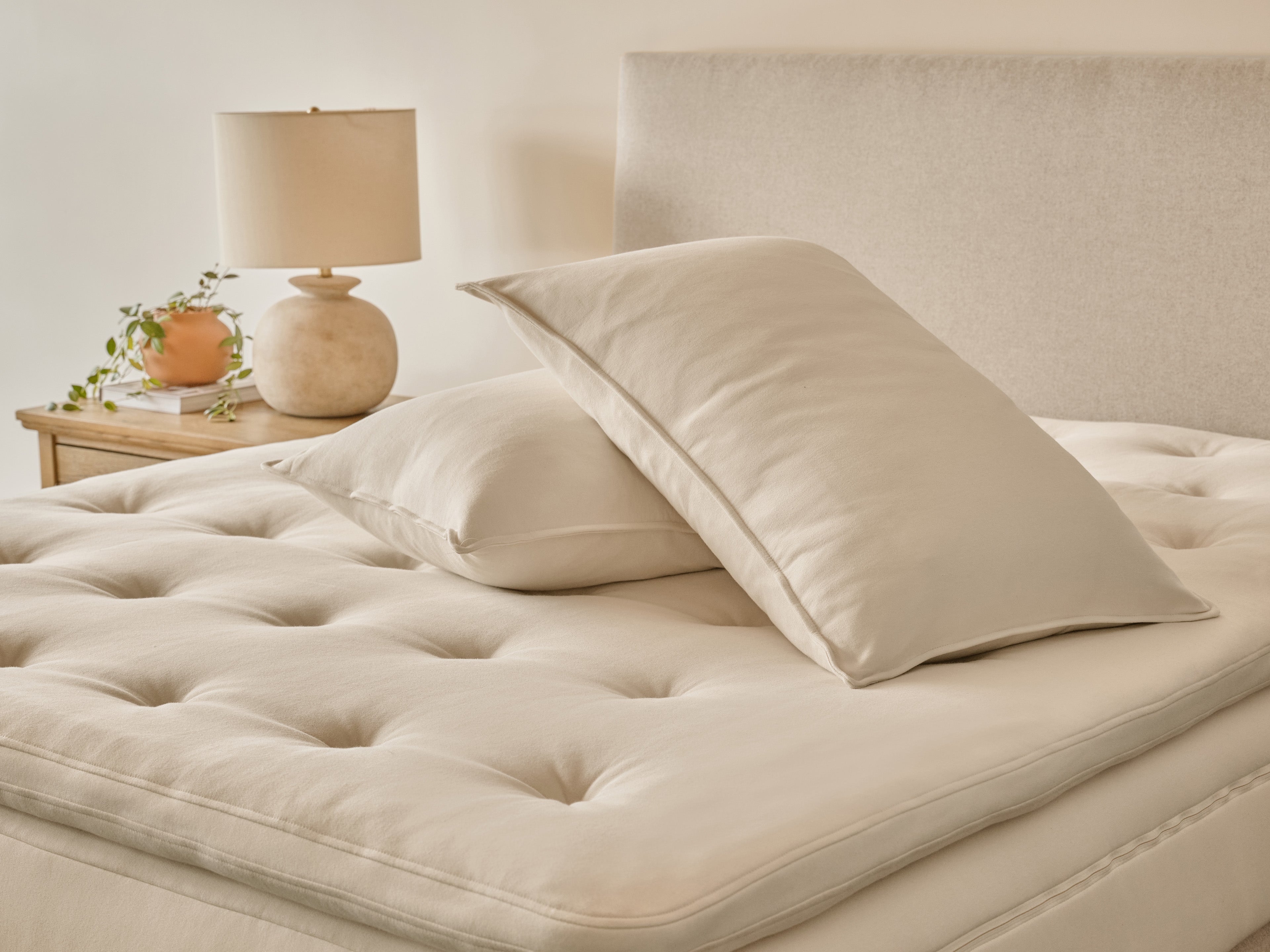 Classic Organic Latex Pillow