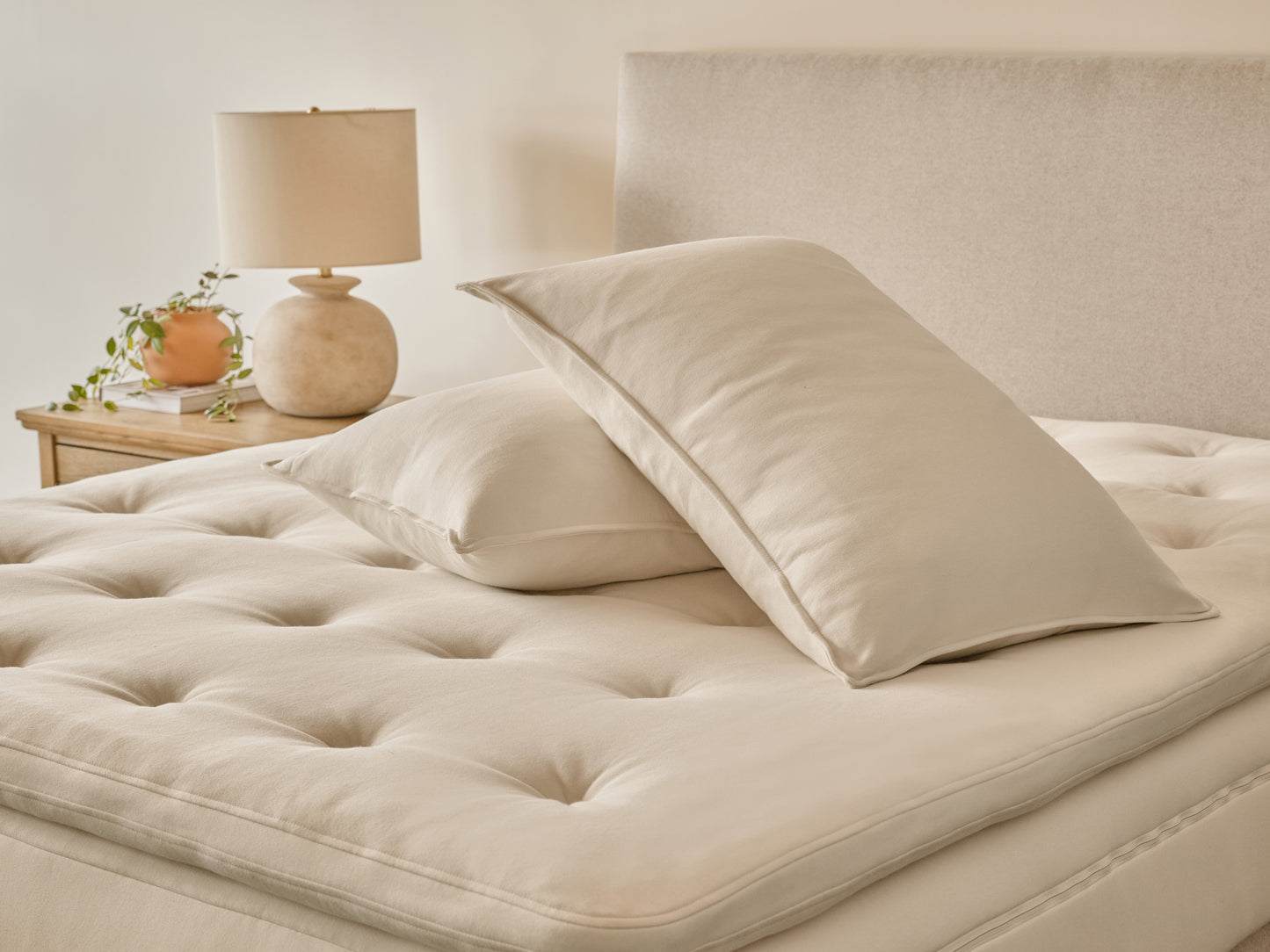 Oreiller classique en latex biologique