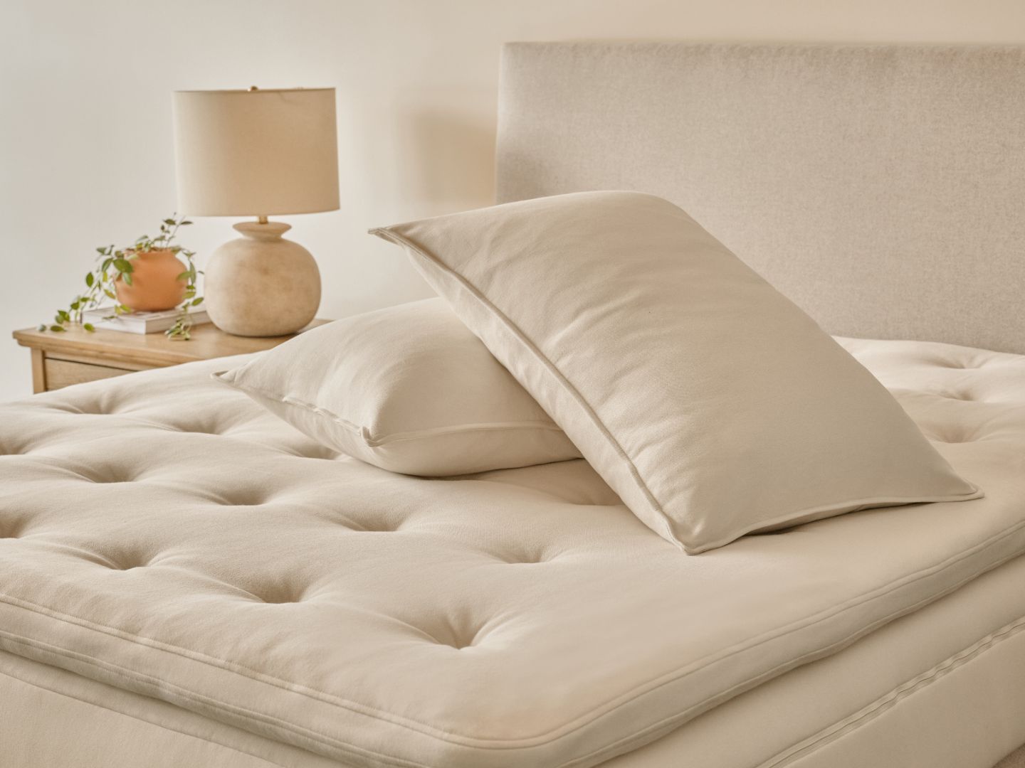 Classic Organic Latex Pillow