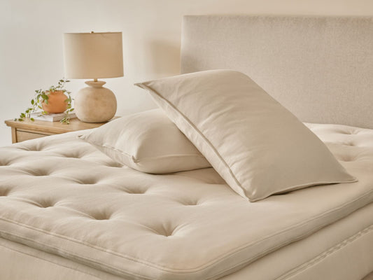 Classic Organic Latex Pillow