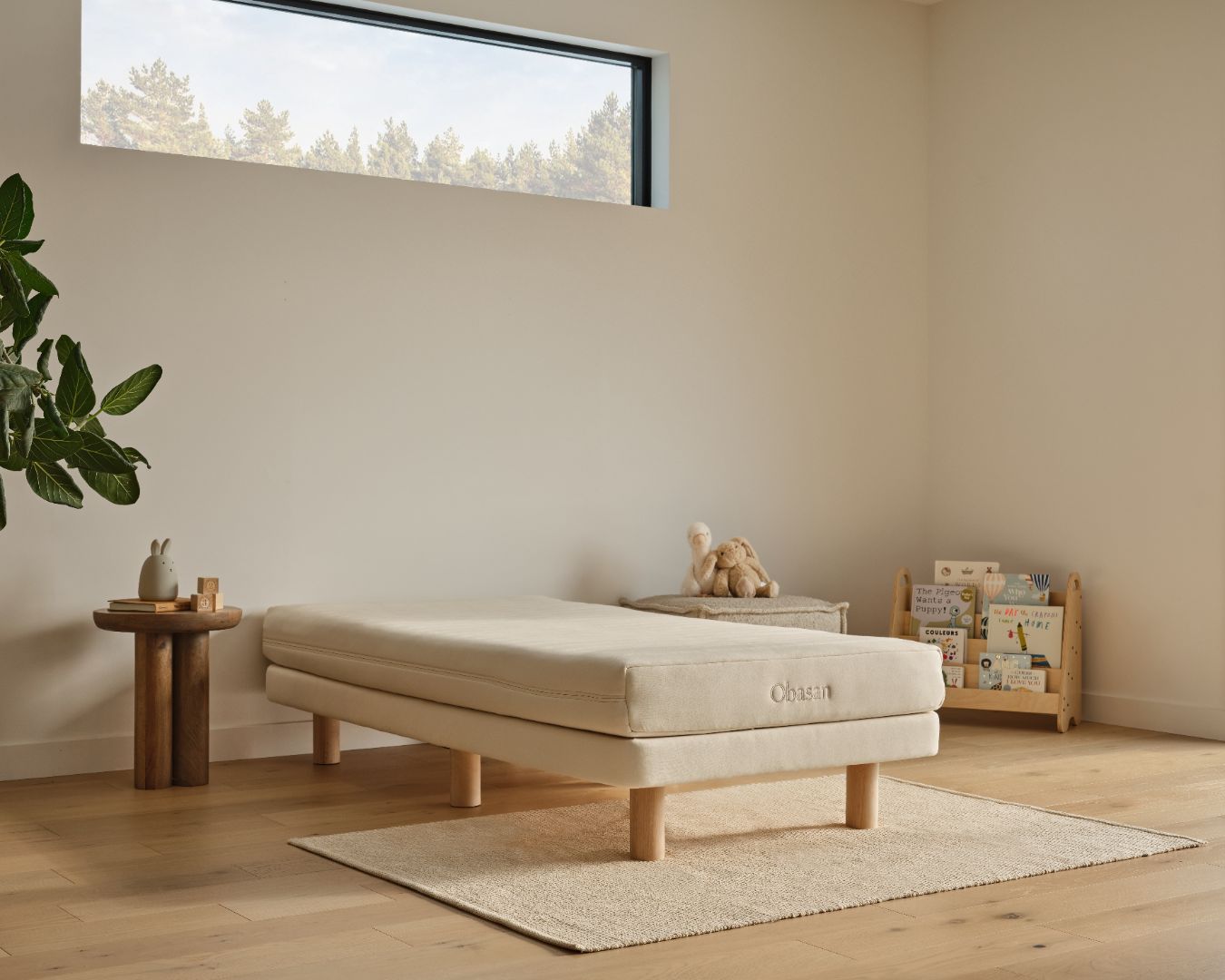 Organic Kids Mattress