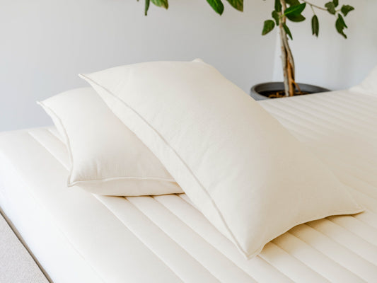 Luxury : Oreiller en duvet et latex biologique