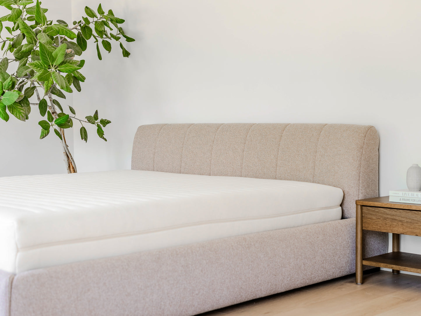 The Essential 8" Organic Mattress