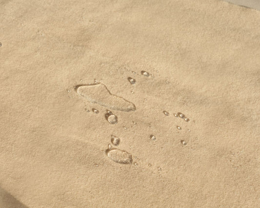 Organic Wool Mattress Protector