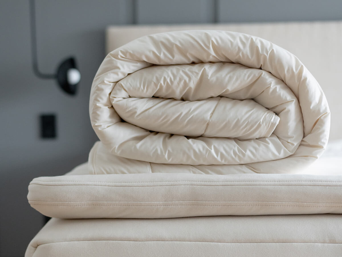 🎁 Medium Weight Comforter (100% off)